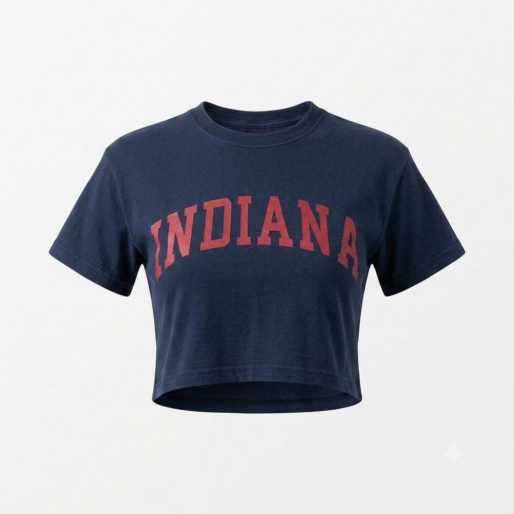 Indiana Hoosiers Cropped Graphic T-Shirt Gildan Heavy Cotton Size Small Y2K Look